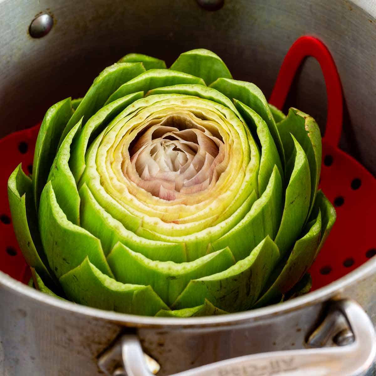 How to Cook Artichokes: Easy Boil & Steam for Perfect Results